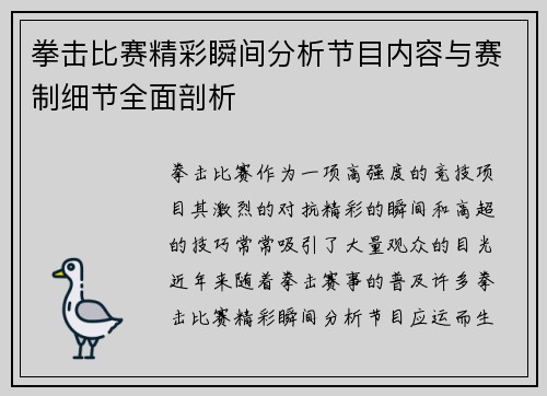 拳击比赛精彩瞬间分析节目内容与赛制细节全面剖析