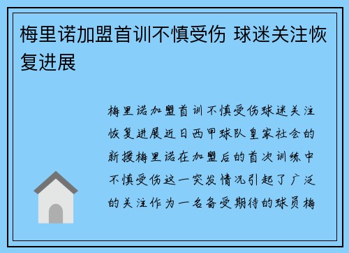 梅里诺加盟首训不慎受伤 球迷关注恢复进展